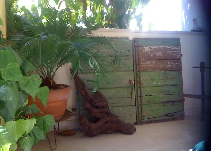 Grbesa * 特罗吉尔