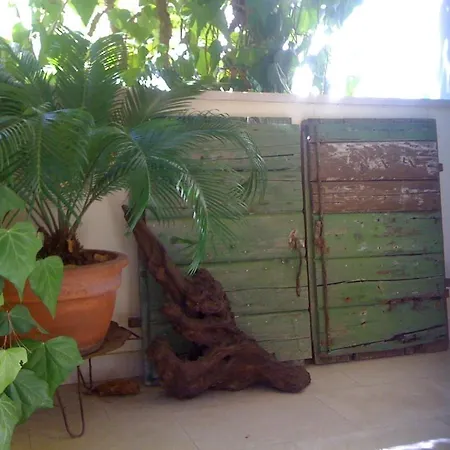 Grbesa * Τρογκίρ